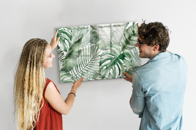 Tableau effaçable magnétique Affiche verte avec photos et accessoires