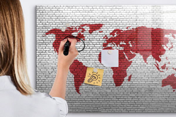 Tableau effaçable magnétique Carte du monde avec emplacements de photos