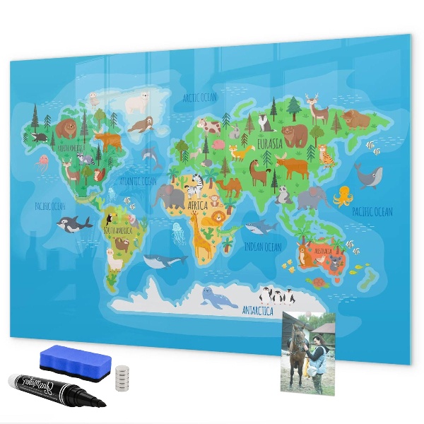 Tableau magnétique effaçable Carte du monde colorée avec aimants