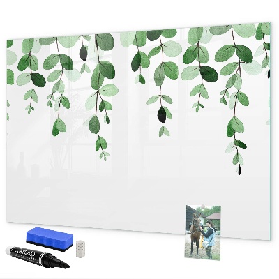 Tableau magnétique effaçable Feuilles vertes et photos sur le mur