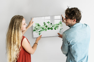 Tableau effaçable magnétique Tableau vert pour photos et notes
