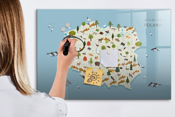 Tableau magnétique effaçable Carte naturelle de la Pologne avec des lieux pour prendre des photos