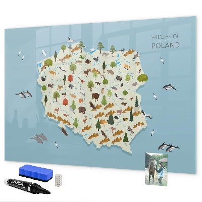 Tableau magnétique effaçable Carte naturelle de la Pologne avec des lieux pour prendre des photos