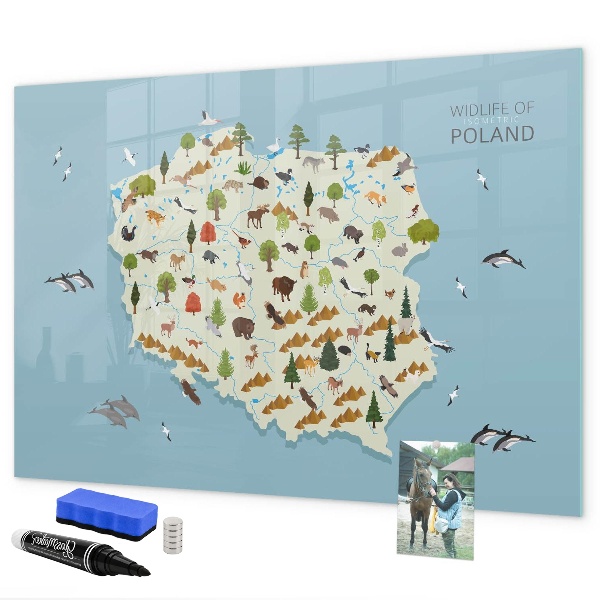 Tableau magnétique effaçable Carte naturelle de la Pologne avec des lieux pour prendre des photos