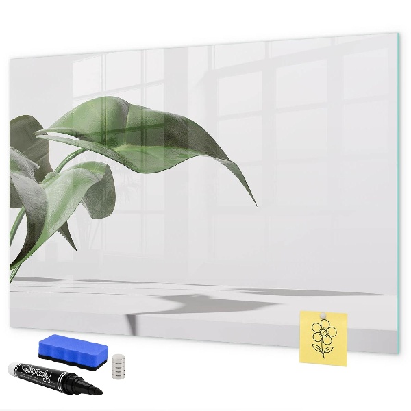 Tableau effaçable magnétique Des plantes et des souvenirs sur le mur