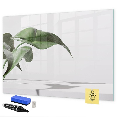 Tableau effaçable magnétique Des plantes et des souvenirs sur le mur