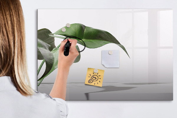 Tableau effaçable magnétique Des plantes et des souvenirs sur le mur