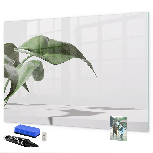 Tableau effaçable magnétique Des plantes et des souvenirs sur le mur
