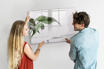 Tableau effaçable magnétique Des plantes et des souvenirs sur le mur