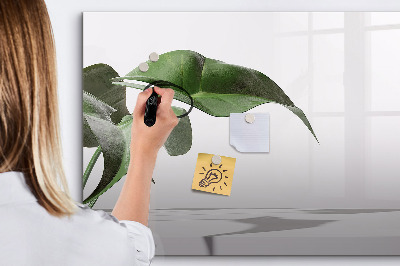 Tableau effaçable magnétique Des plantes et des souvenirs sur le mur