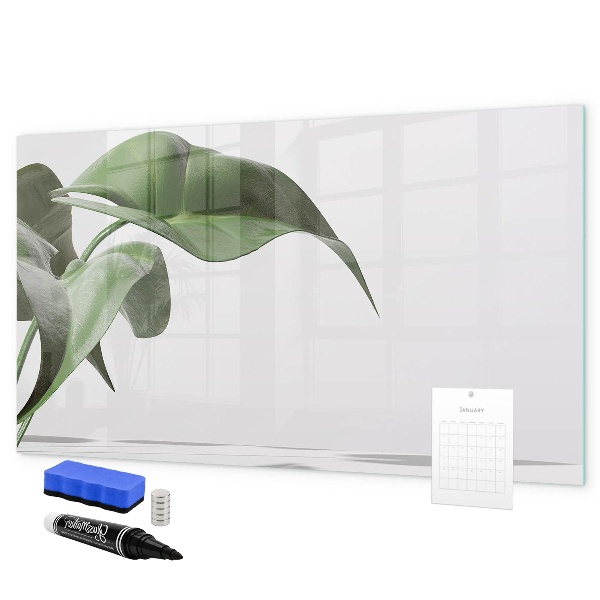 Tableau effaçable magnétique Des plantes et des souvenirs sur le mur