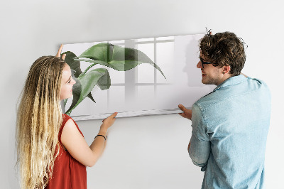 Tableau effaçable magnétique Des plantes et des souvenirs sur le mur