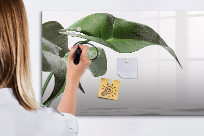 Tableau effaçable magnétique Des plantes et des souvenirs sur le mur