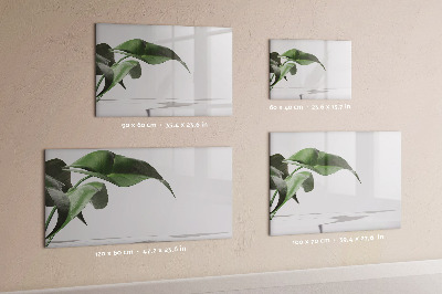 Tableau effaçable magnétique Des plantes et des souvenirs sur le mur