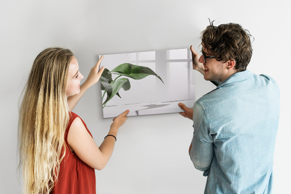 Tableau effaçable magnétique Des plantes et des souvenirs sur le mur