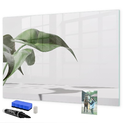 Tableau effaçable magnétique Des plantes et des souvenirs sur le mur