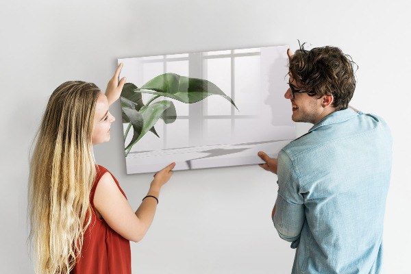 Tableau effaçable magnétique Des plantes et des souvenirs sur le mur