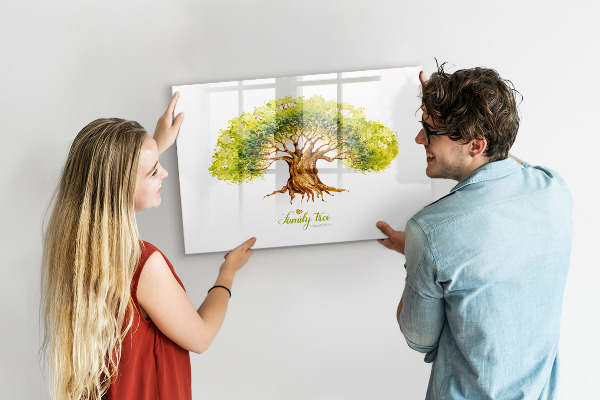 Tableau magnétique effaçable Arbre généalogique avec espace pour photos