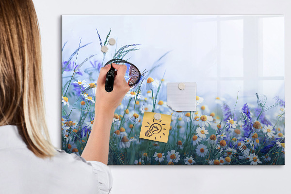 Tableau magnétique effaçable Un espace créatif pour les souvenirs et les photos