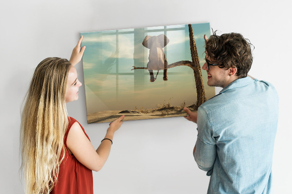 Tableau magnétique effaçable Des éléphants et des souvenirs sur le mur