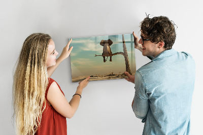 Tableau magnétique effaçable Des éléphants et des souvenirs sur le mur
