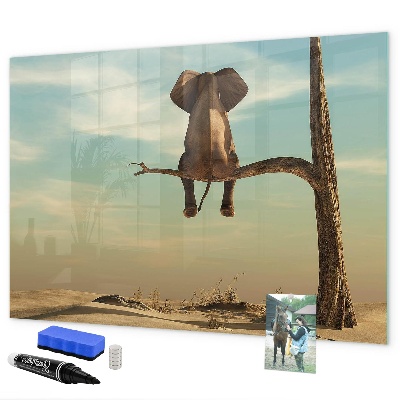 Tableau magnétique effaçable Des éléphants et des souvenirs sur le mur
