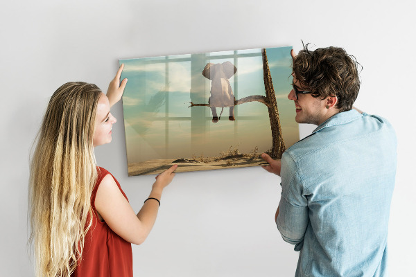Tableau magnétique effaçable Des éléphants et des souvenirs sur le mur
