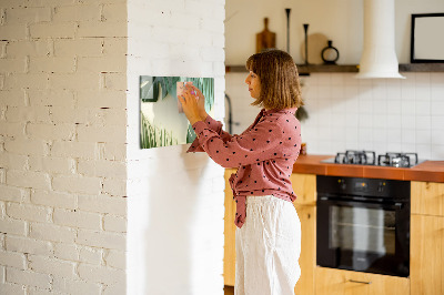 Tableau effaçable magnétique Tableau mémo élégant avec des plantes
