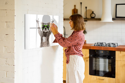 Tableau effaçable magnétique Raton laveur heureux avec des photos