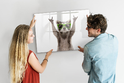 Tableau effaçable magnétique Raton laveur heureux avec des photos