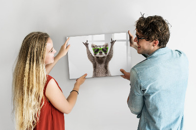 Tableau effaçable magnétique Raton laveur heureux avec des photos