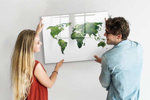 Tableau effaçable magnétique Carte du monde verte avec photos