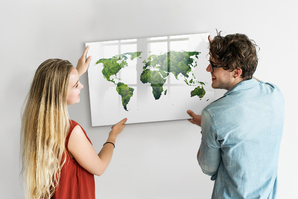 Tableau effaçable magnétique Carte du monde verte avec photos