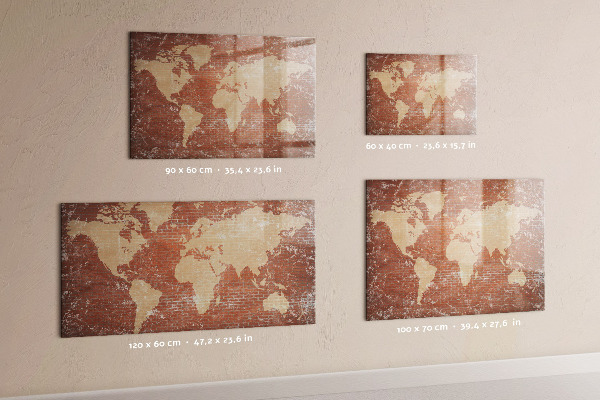 Tableau effaçable magnétique Carte du monde avec emplacements de photos
