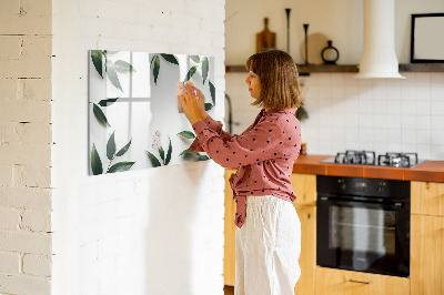 Tableau magnétique effaçable Tableau mémo élégant avec des plantes