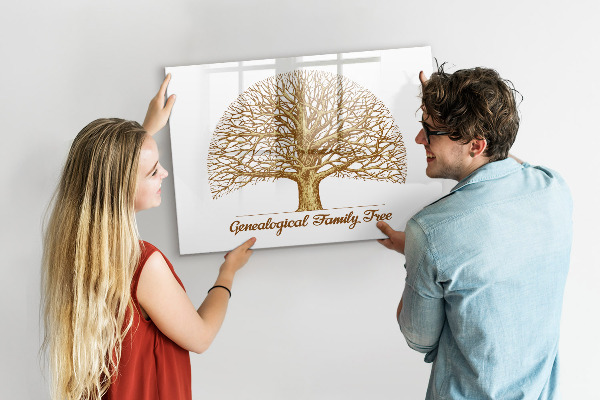 Tableau magnétique effaçable Arbre généalogique avec espace pour photos