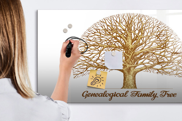Tableau magnétique effaçable Arbre généalogique avec espace pour photos