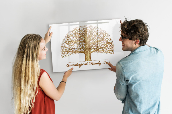 Tableau magnétique effaçable Arbre généalogique avec espace pour photos