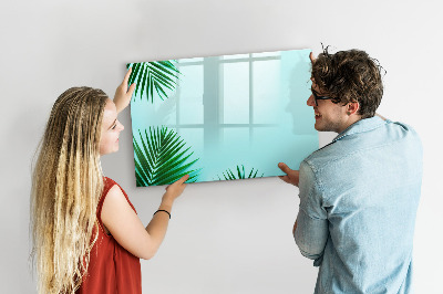 Tableau effaçable magnétique Affiche verte pour photos et notes