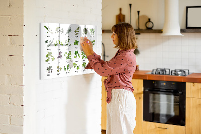 Tableau effaçable magnétique Herbes et photos au même endroit