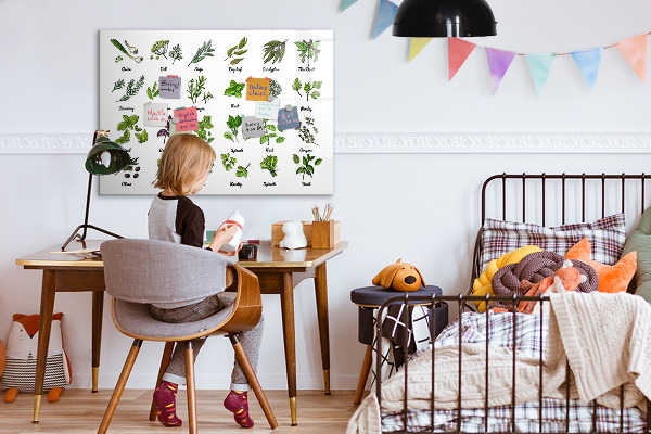 Tableau effaçable magnétique Herbes et photos au même endroit