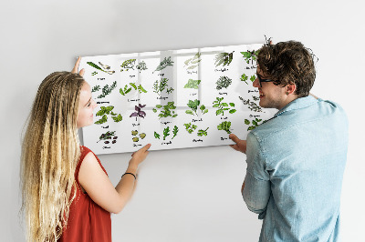Tableau effaçable magnétique Herbes et photos au même endroit