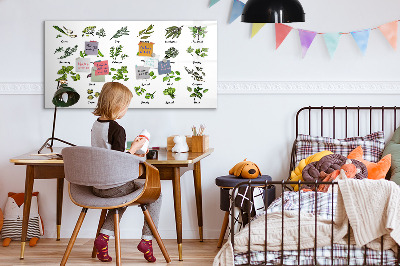 Tableau effaçable magnétique Herbes et photos au même endroit