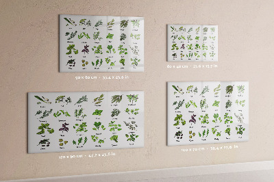Tableau effaçable magnétique Herbes et photos au même endroit