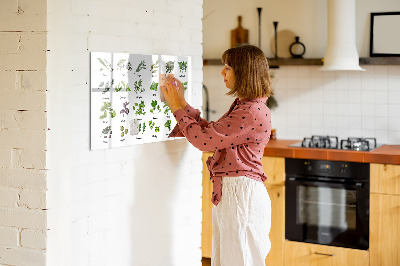 Tableau effaçable magnétique Herbes et photos au même endroit
