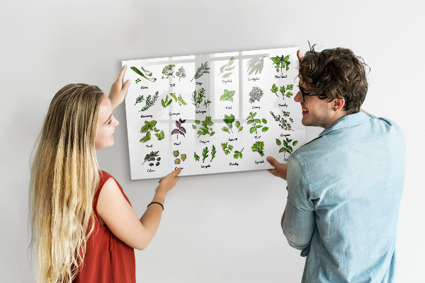 Tableau effaçable magnétique Herbes et photos au même endroit