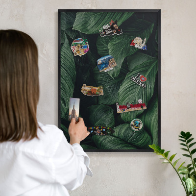Tableau magnétique encadré de couleur noire La verdure de la nature