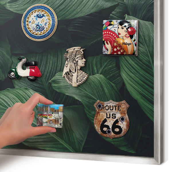 Tableau pour collection d'aimants cadre argenté La verdure de la nature