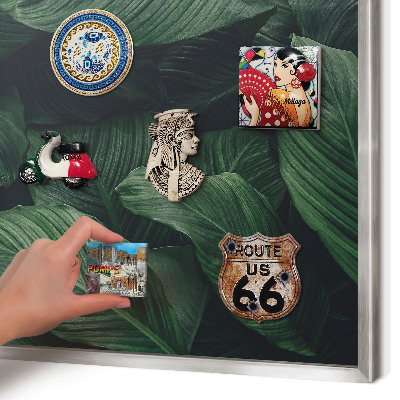 Tableau pour collection d'aimants cadre argenté La verdure de la nature