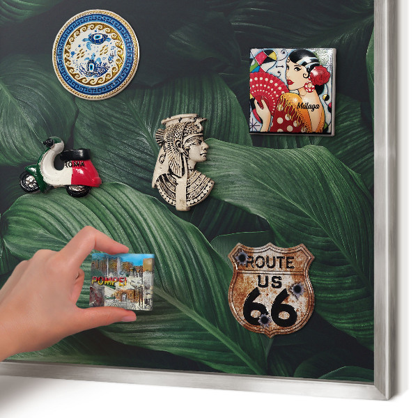 Tableau pour collection d'aimants cadre argenté La verdure de la nature